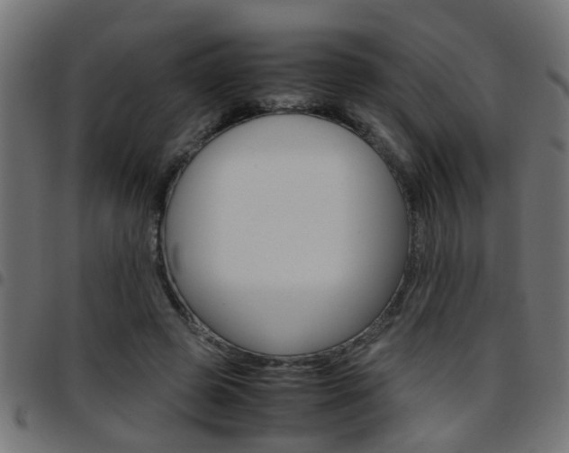 X0000097780545200803070915