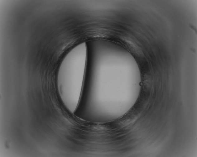 X0000097780547200803070915