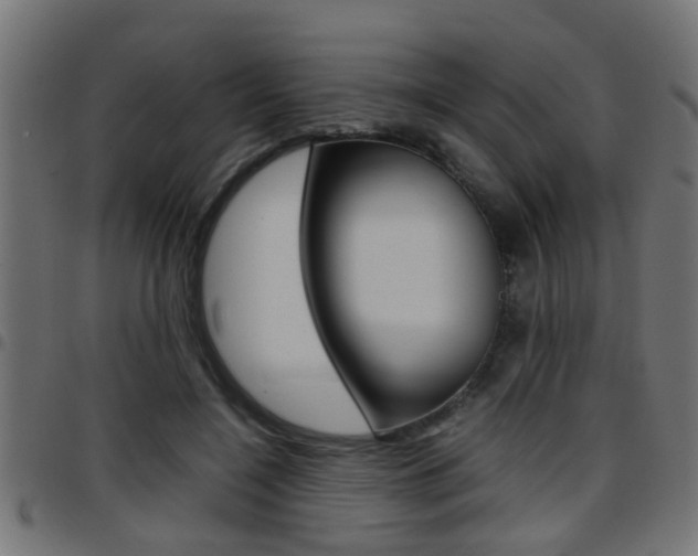 X0000097780548200803070915