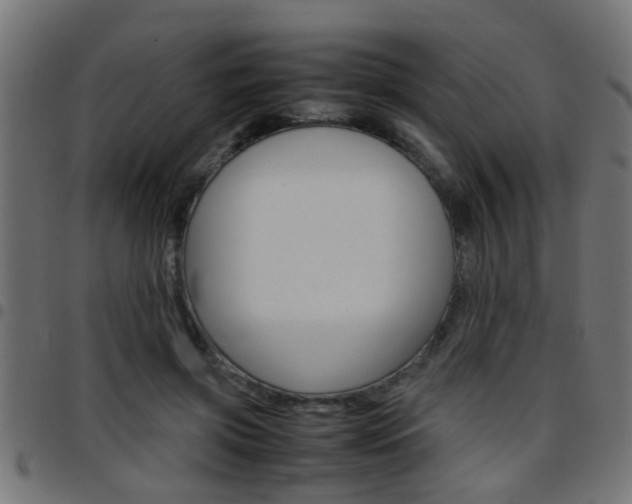 X0000097780549200803070915