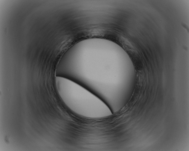 X0000097780550200803070915