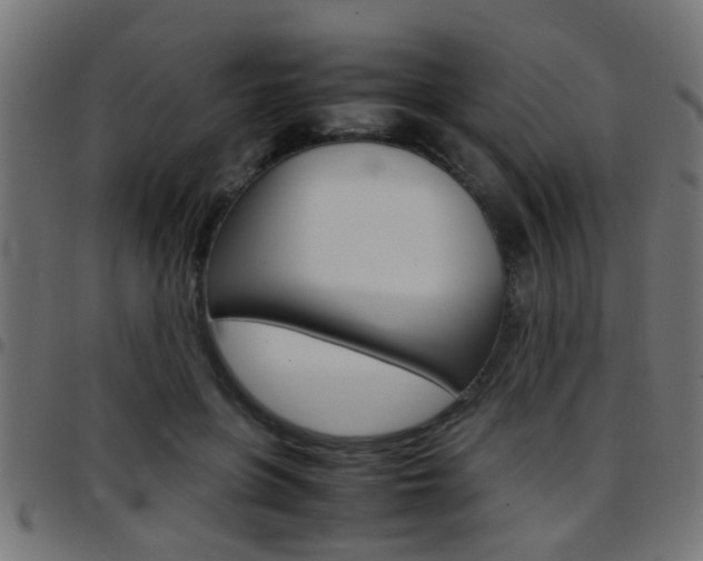 X0000097780551200803070915