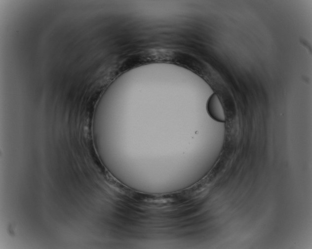 X0000097780553200803070915