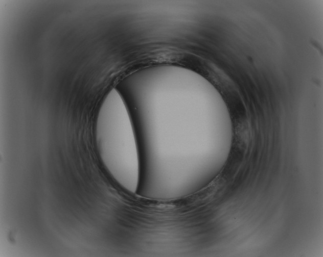 X0000097780554200803070915