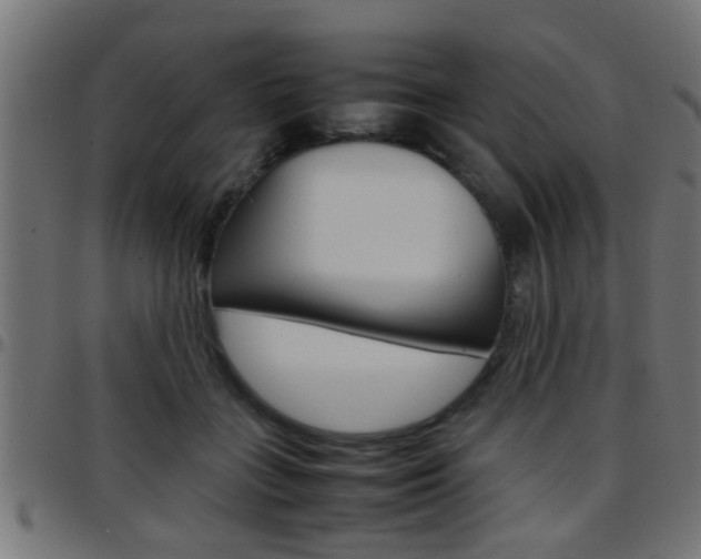 X0000097780555200803070915