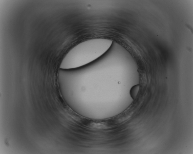 X0000097780557200803070915
