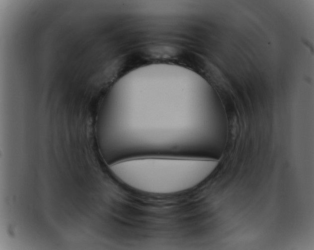 X0000097780559200803070915