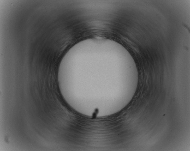 X0000097780560200803070915