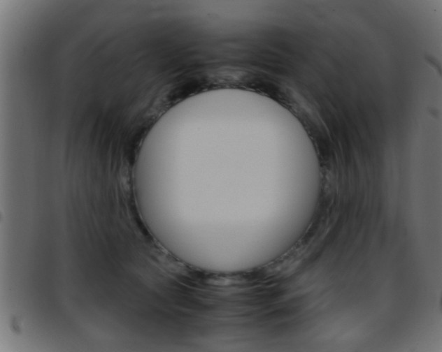 X0000097780561200803070915