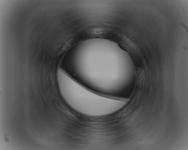 X0000097780562200803070915