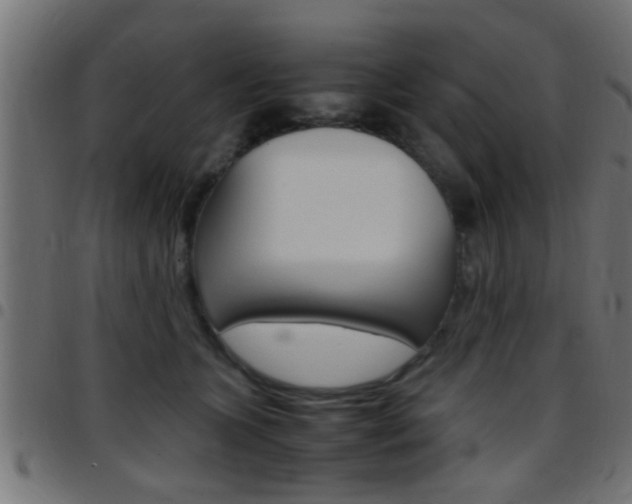 X0000097780563200803070915