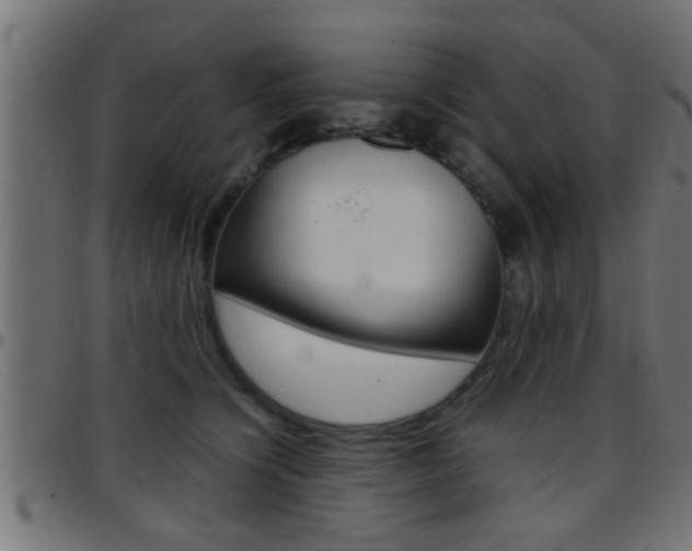 X0000097780564200803070915