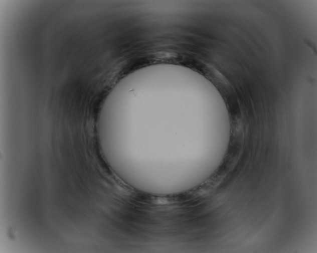 X0000097780565200803070915