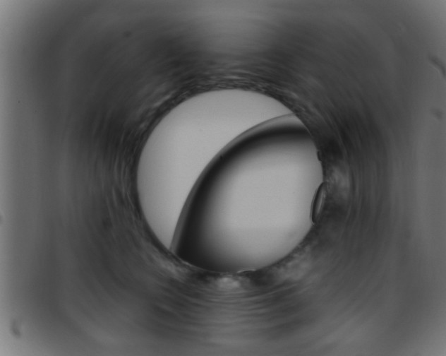 X0000097780566200803070916