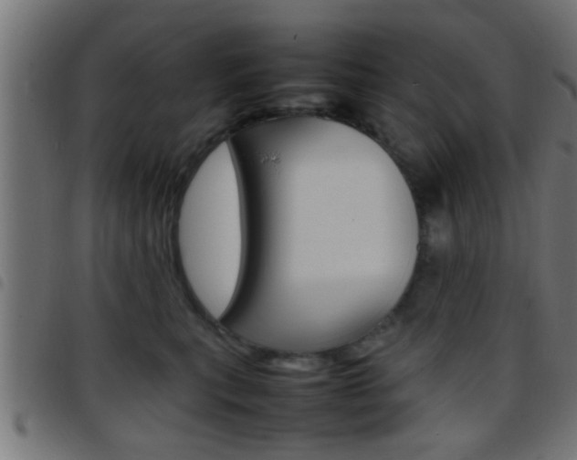 X0000097780567200803070916