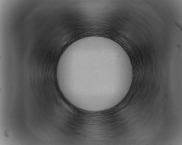 X0000097780568200803070916