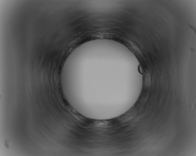 X0000097780569200803070916