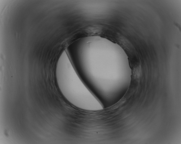 X0000097780570200803070916