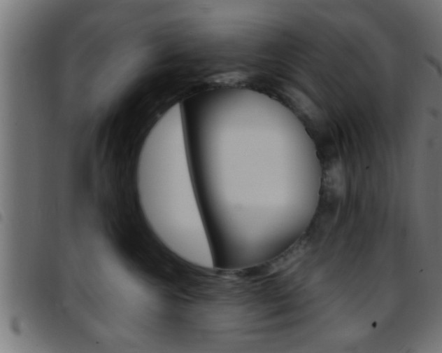 X0000097780572200803070916