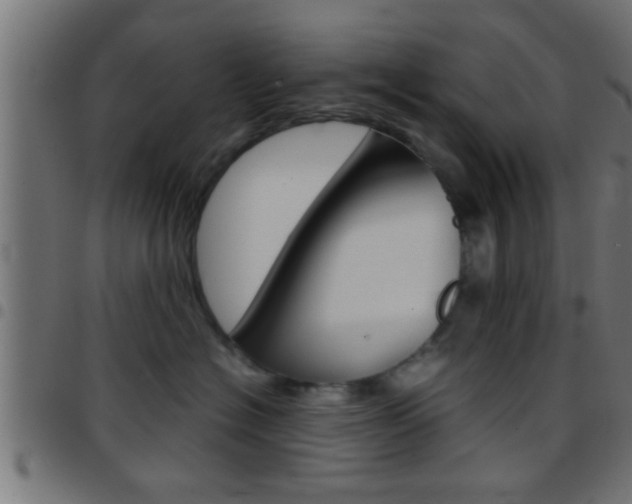 X0000097780574200803070916