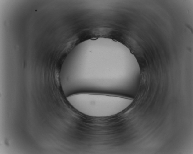 X0000097780575200803070916
