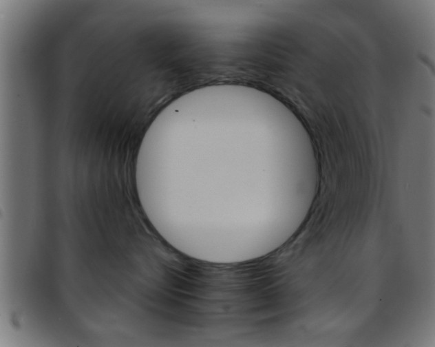 X0000097780576200803070916