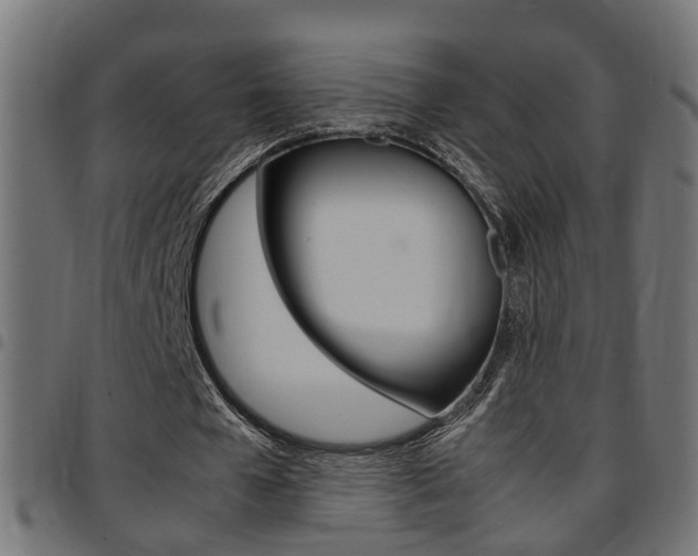 X0000097780577200803070915