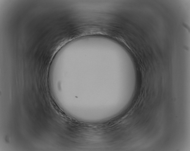 X0000097780579200803070915