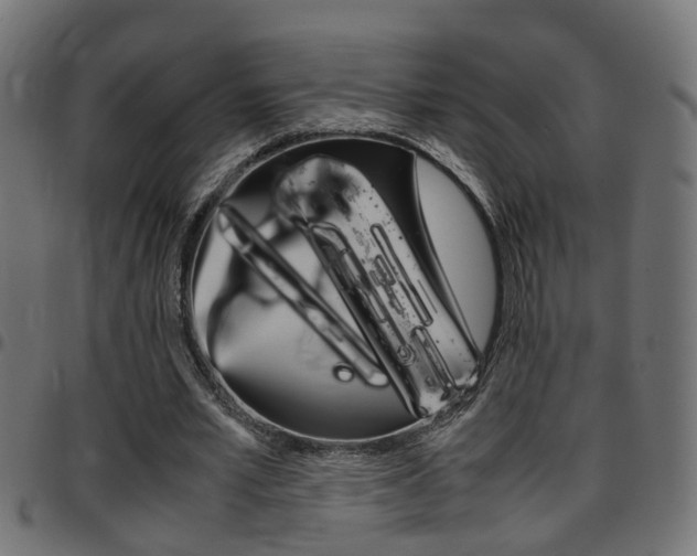 X0000097780581200803070915