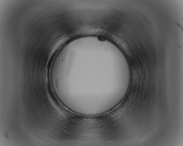 X0000097780582200803070915