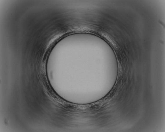 X0000097780583200803070915