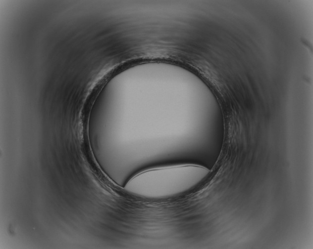 X0000097780584200803070915