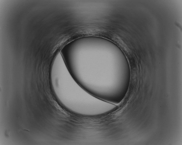 X0000097780585200803070915