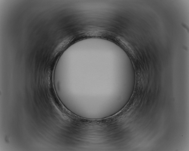 X0000097780586200803070915