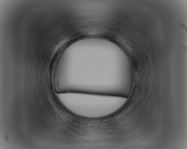 X0000097780587200803070915