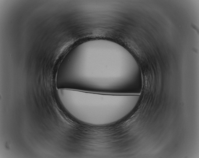X0000097780588200803070915