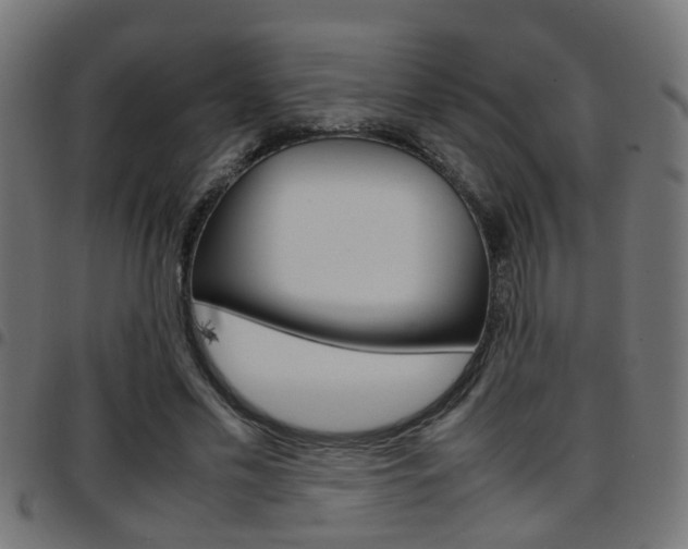 X0000097780589200803070915