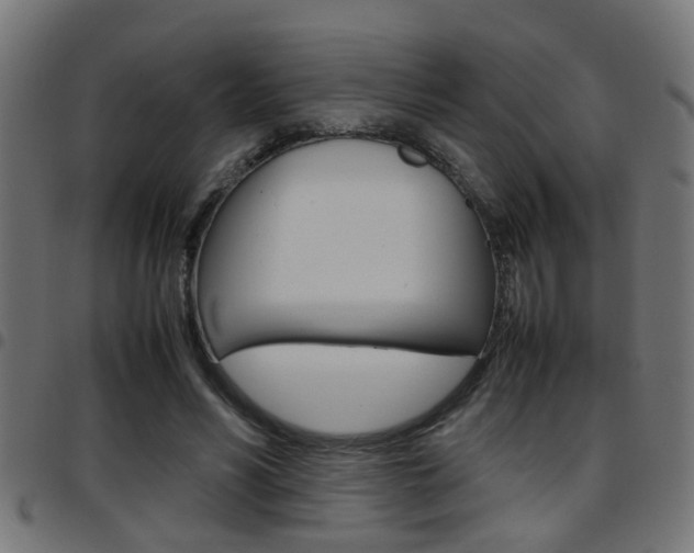 X0000097780590200803070915