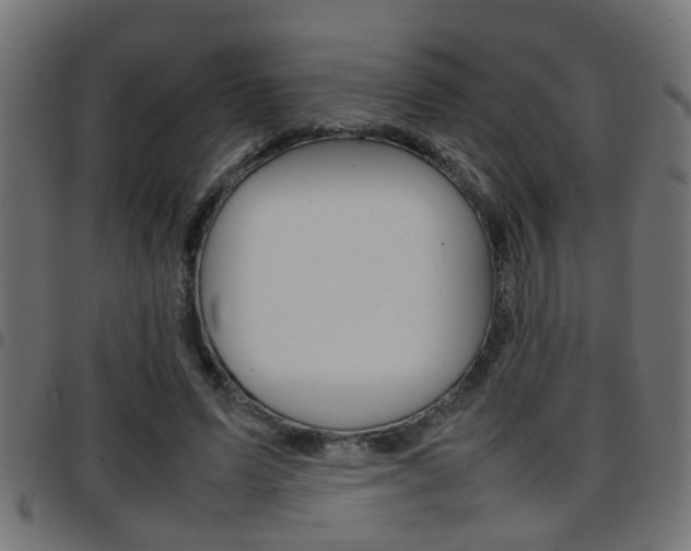 X0000097780591200803070915