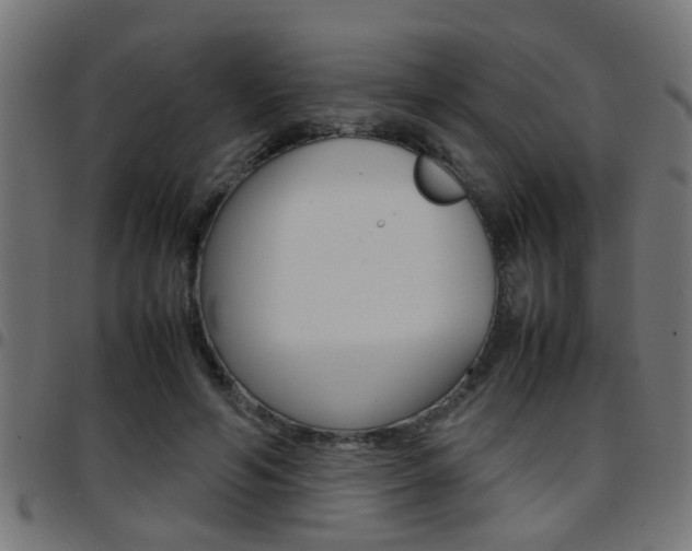 X0000097780594200803070915