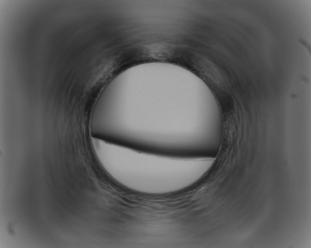 X0000097780595200803070915