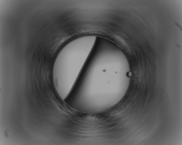 X0000097780596200803070915