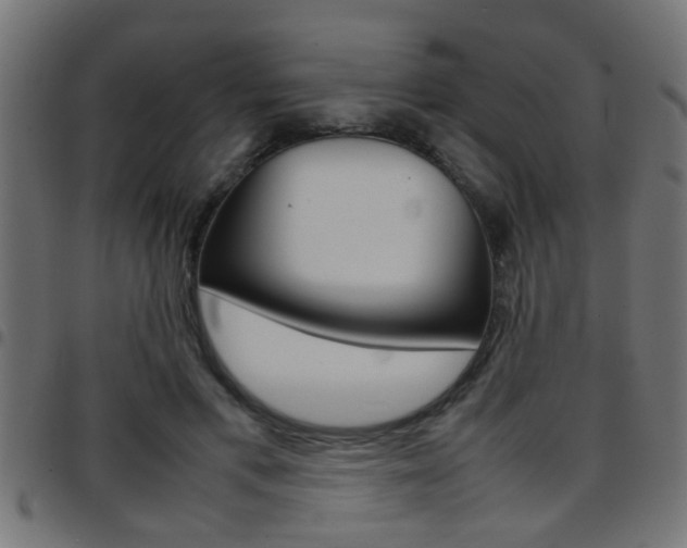 X0000097780597200803070915