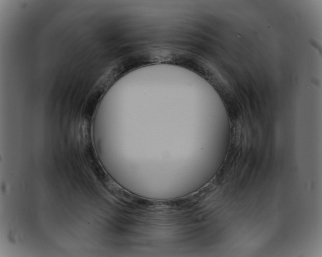 X0000097780598200803070915