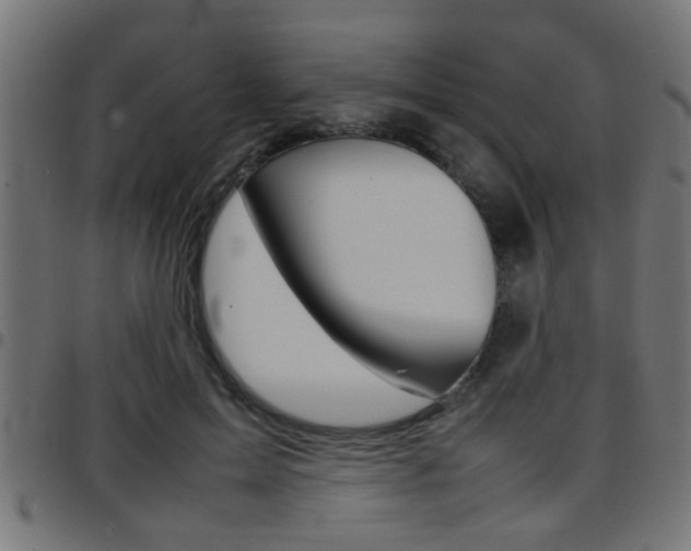 X0000097780599200803070915