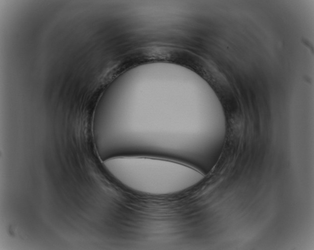 X0000097780600200803070915