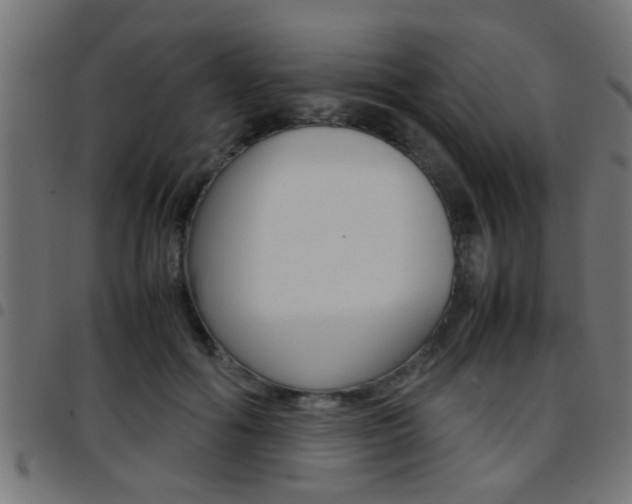X0000097780602200803070915