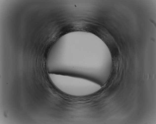 X0000097780603200803070915