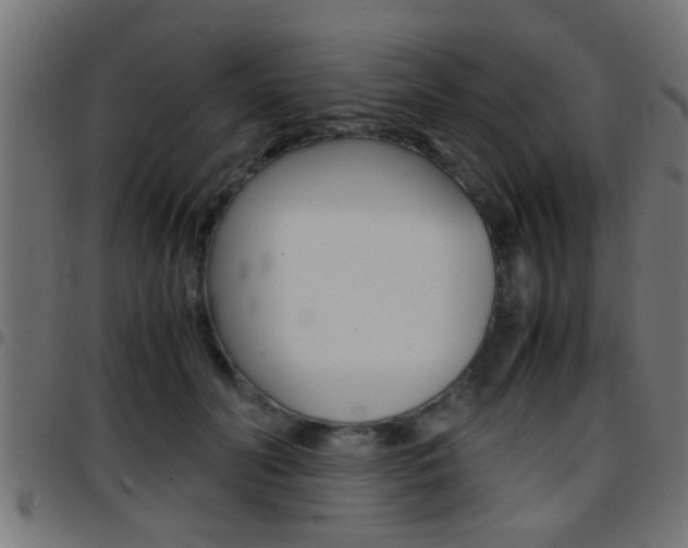 X0000097780606200803070915