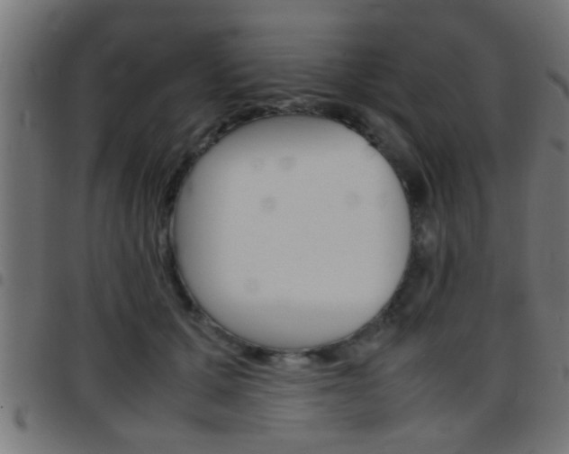 X0000097780607200803070915